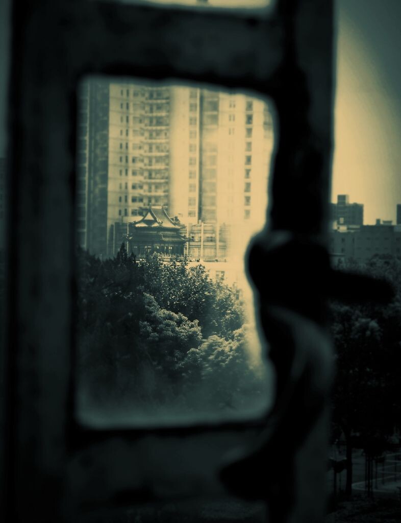 Shanghai Dreamin'