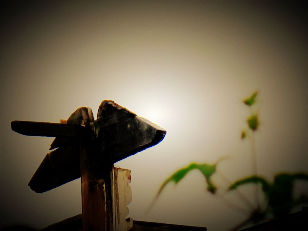 此地空留花衣街。