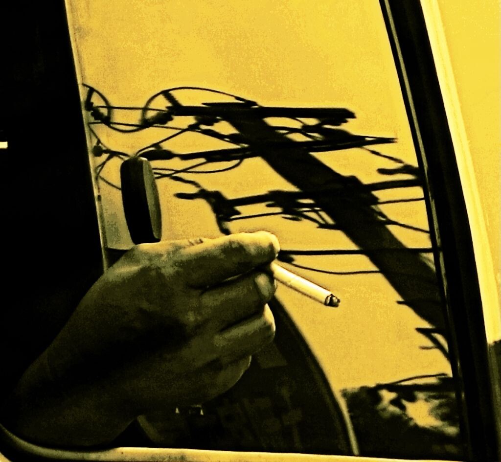 孤独的人是可耻的这是一个恋爱的季节,空气里都是情侣的味道,孤独的人是可耻的,这是一个恋爱的季节,大家应该互相微笑,搂搂抱抱这样就好。我喜欢鲜花城市里应该有鲜花,即使被人摘掉鲜花也应该长出来,这是一个恋爱的季节,大家应该相互交好,孤独的人是可耻的,生命象鲜花一样绽开,我们不能让自己枯萎,没有选择我们都必须恋爱,鲜花的爱情是随风飘散,随风飘散随风飘散,他们并不寻找并不依靠,非常地骄傲,孤独的人他们想象鲜花一样美丽,一朵骄傲的心风中飞舞跌落人们脚下,可耻的人他们反对生命反对无聊,为了美丽在风中在人们眼中变得枯萎。---魔岩唱片