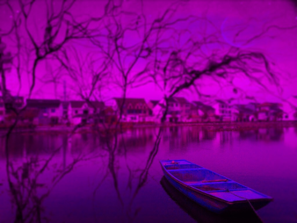 船儿在海上舞蹈，唱高亢而孤独的曲调。走近来，不要再为人类的命运迷误。我发现在爱和恨的枝条下面，在一切可怜的只活一天的蠢物之间，永恒之美一路漫游向前。走近来，走近来，走近来——啊，给我留一点玫瑰气息充填空间！---叶芝