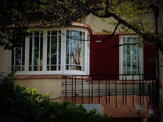 P1150403.JPG