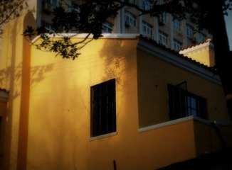 P1150560.JPG