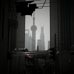P1160219.jpg