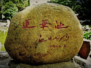 P1180037.JPG