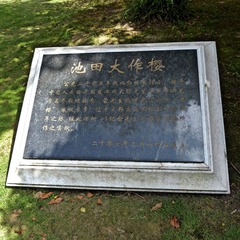 P1180033.JPG