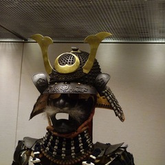 P1180441.jpg