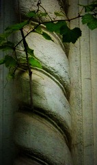 P1210776