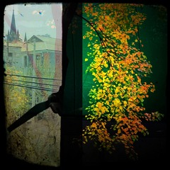 P11205261