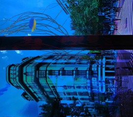 P105026711