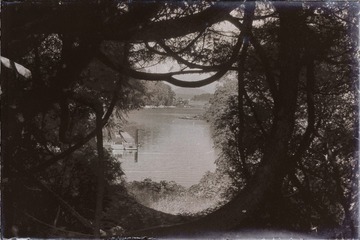 柳暗花明又一村