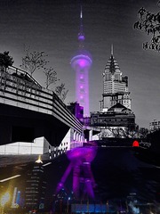 WP_000530223