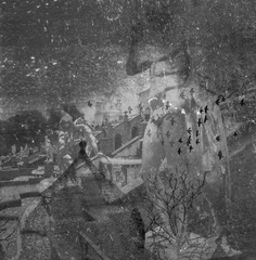 WP_0001014