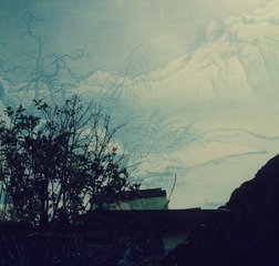 WP_000635