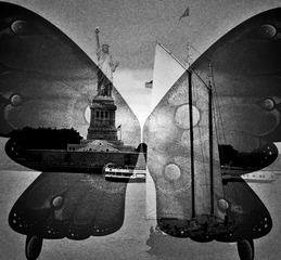 P1250396_1