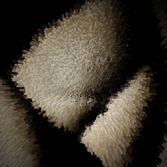 P10002611