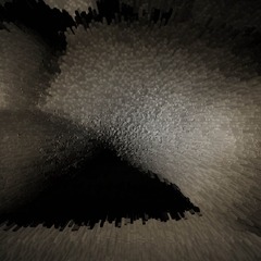 P10002631