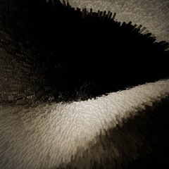P10002651