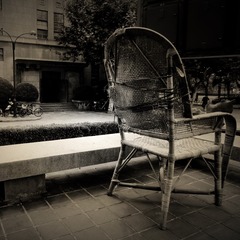 P1060261