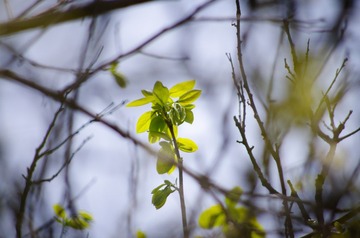 _IGP4971-20130430.jpg