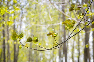 _IGP5002-20130430.jpg