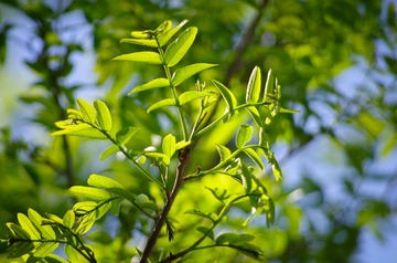 _IGP5003-20130430.jpg