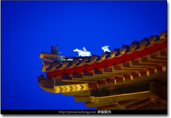 IMGP3998-20130407.jpg