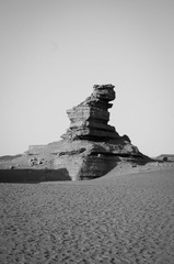 IMGP4625-20130412.jpg