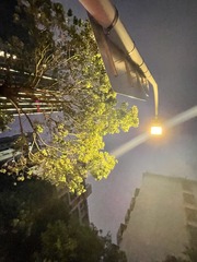 E6EED260-F5DD-45B6-912F-C3B4FE9788D9/L0/001