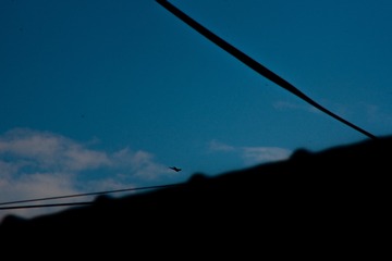A4450D50-7A19-4472-AAE6-337F6304D852/L0/001