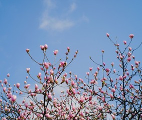 297F6B91-18E5-4C49-B5F0-32BE966EF2A8/L0/001