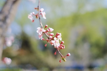 0A1E4190-48D8-4E36-92DA-7D5A637FFCFE/L0/001