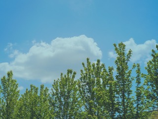 F7138AE5-E37C-4A70-BFB3-3CF58A6EB108/L0/001