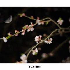 A8882145-368F-4542-A0D7-C18C815B5F14/L0/001