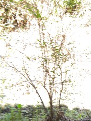 1065973