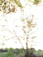 1065974