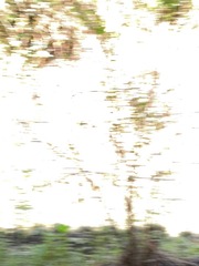 1065980