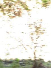 1065975