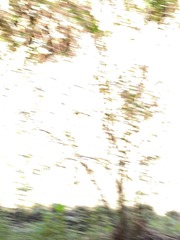 1065977