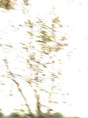 1065982