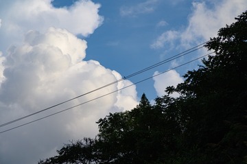 323591