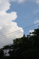 323593