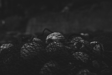 5A652CCF-B919-47E7-8A1F-E39D3F034D12/L0/001