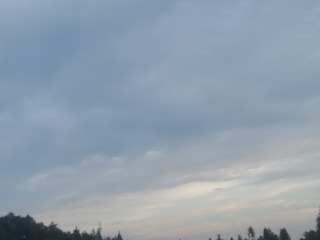 208901