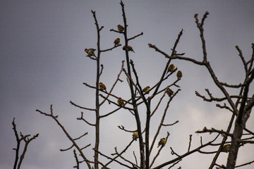 B4517283-BBDA-4B7D-A449-2F78341B0B62/L0/001