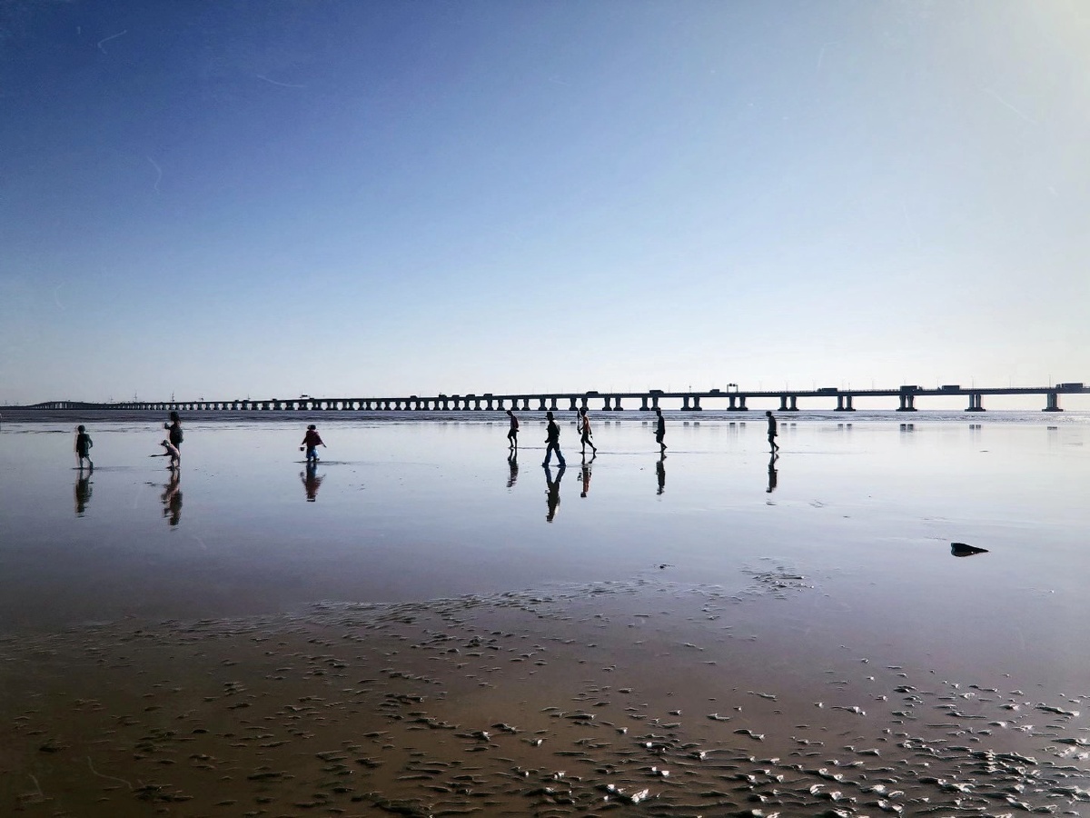 上海南汇海边滩涂