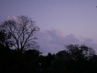 3B3C4228-8F80-41A1-ADD8-6E336511A402/L0/001