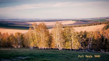 2DDCD742-2D0D-4EF0-B8AA-AA580481AFE1/L0/001
