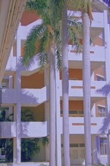 4A7DE36E-8B4A-4C8E-94C4-B2D984A2FEDD/L0/001