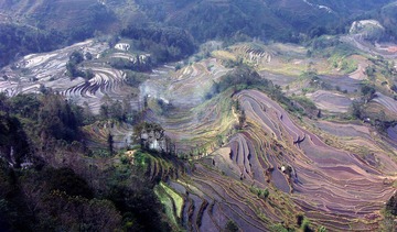 老虎嘴.梯田1