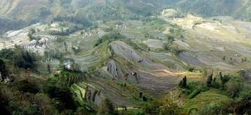 老虎嘴.梯田2